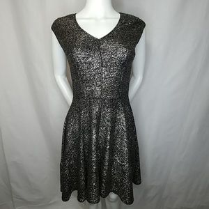 Silver Sparkle Dress